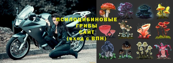 бошки Абаза